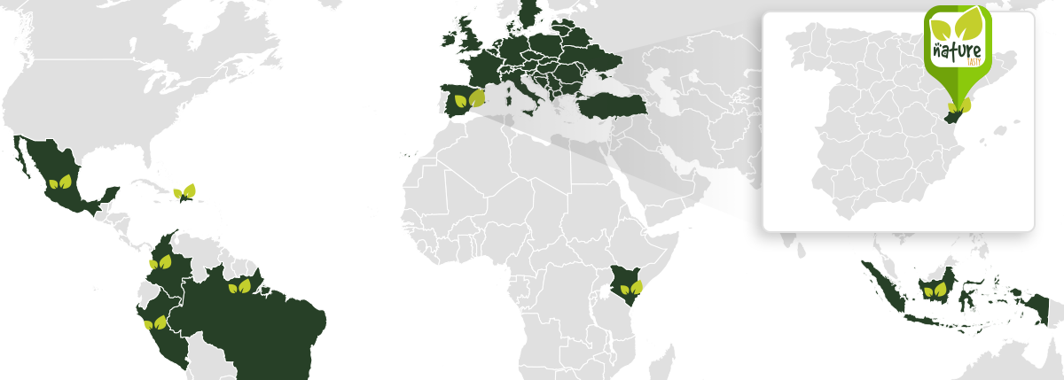 Mapa de distribuição de abacate